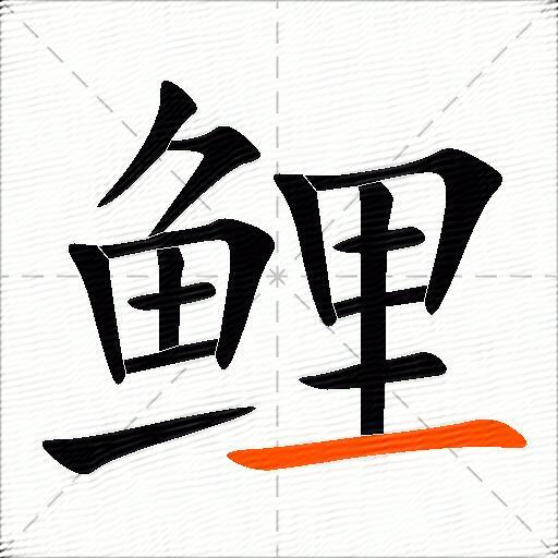 鲤