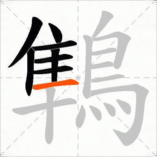 鶽