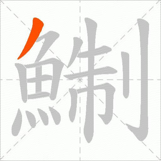 鯯