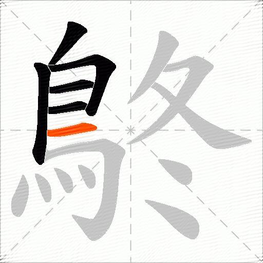 鴤