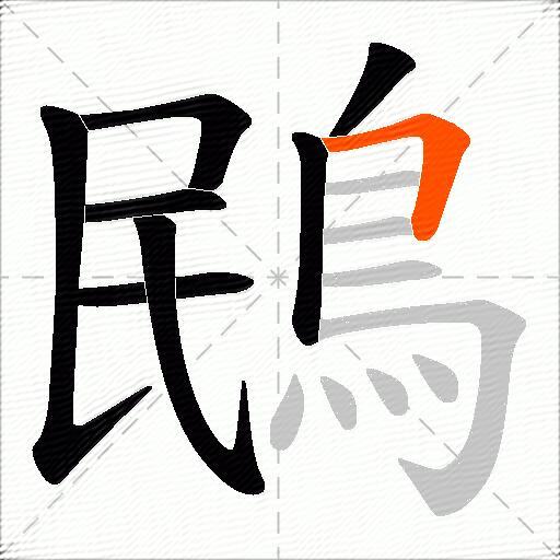 鴖