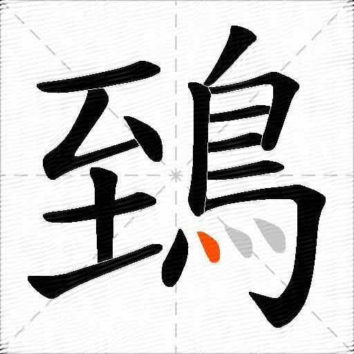 鵄