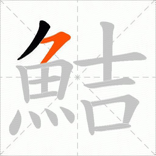 鮚