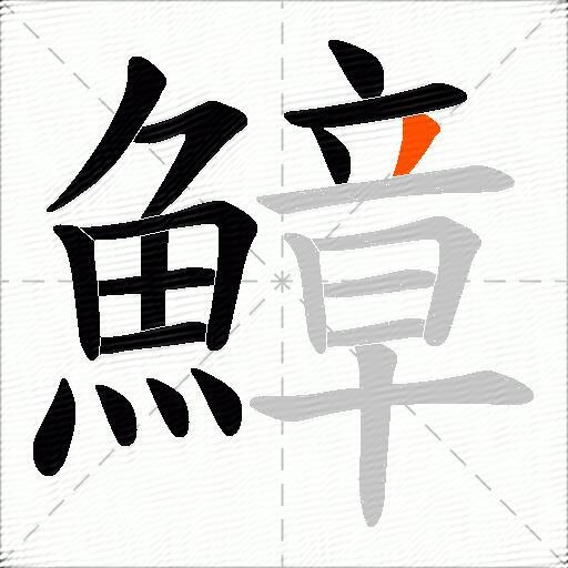 鱆