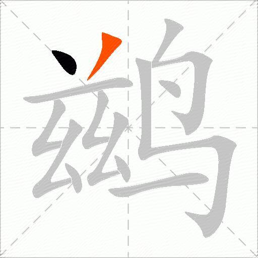 鹚