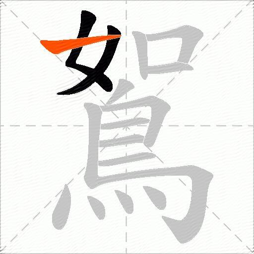 鴽