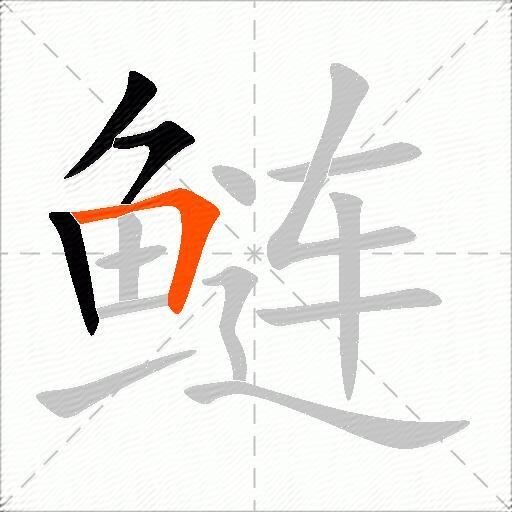 鲢