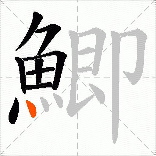 鯽