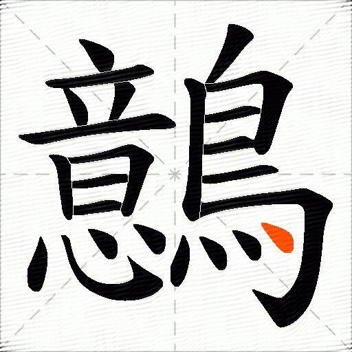 鷾