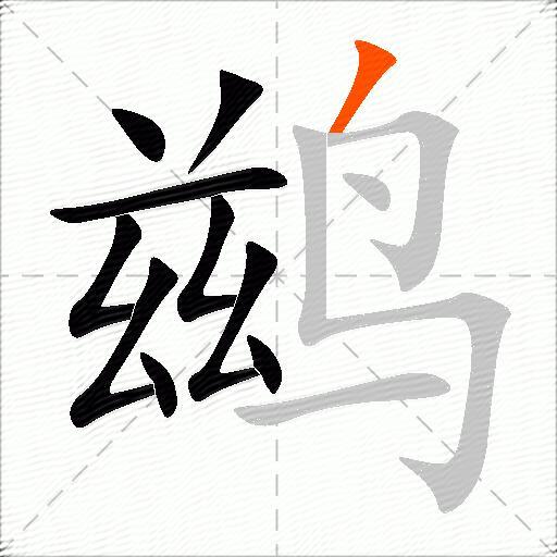 鹚