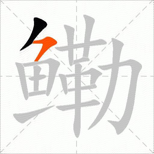 鳓