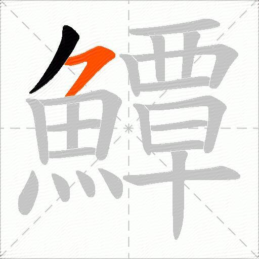 鱏