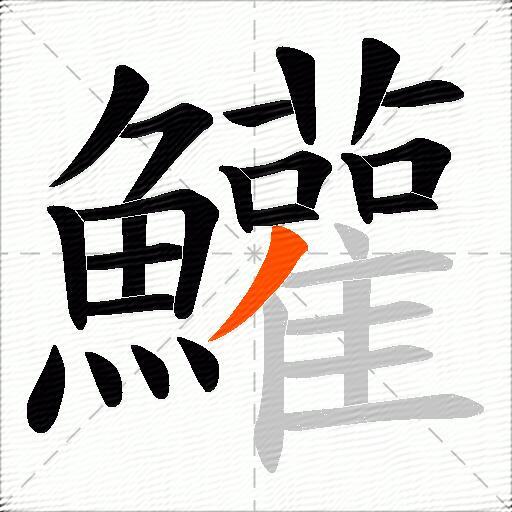 鱹
