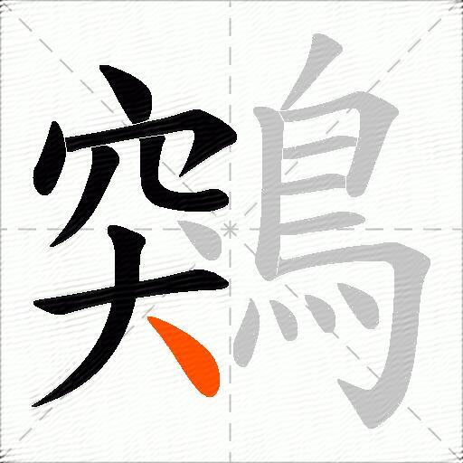 鶟