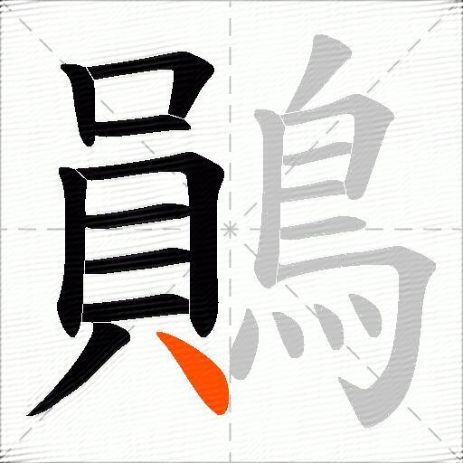 鶰
