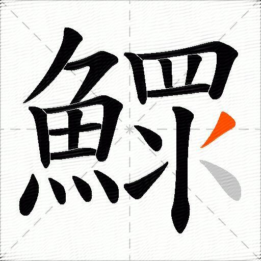 鰥
