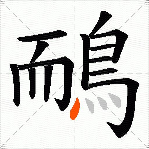 鴯
