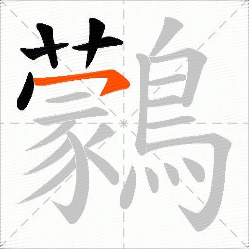 鸏