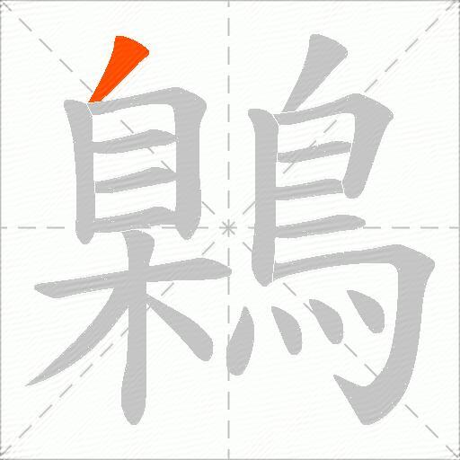 鷍