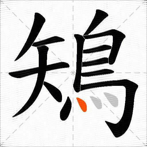 鴙