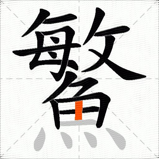 鰵
