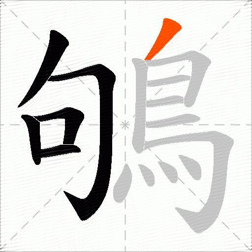 鴝