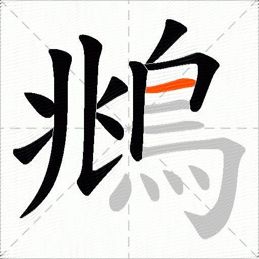 鴵