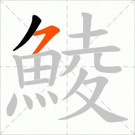 鯪