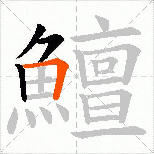 鱣
