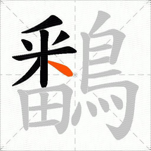 鷭
