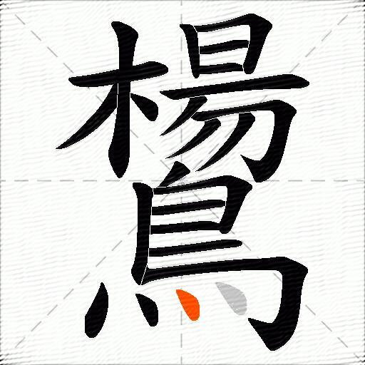 鸉