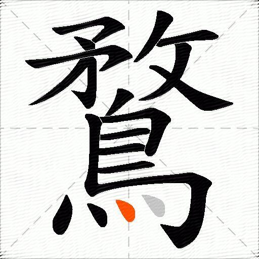 鶩