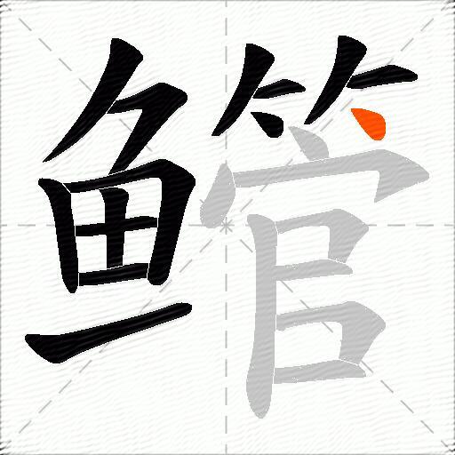 鳤