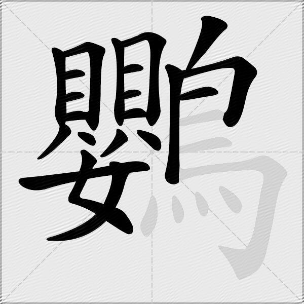 鸚