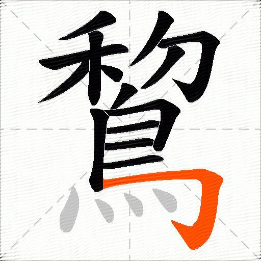 鵹