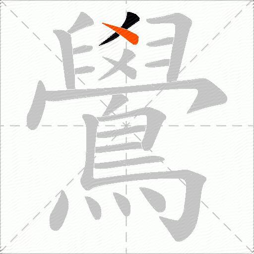 鷽