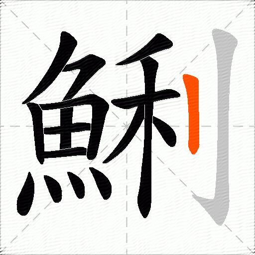 鯏