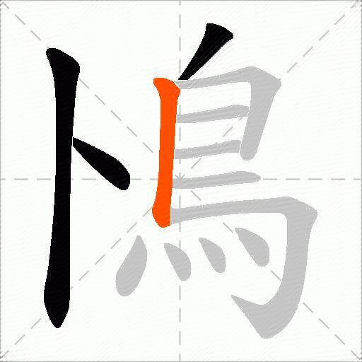 鳪
