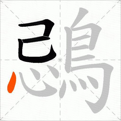 鵋