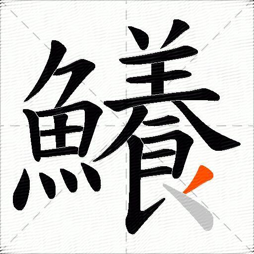 鱶