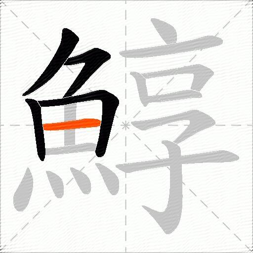 鯙