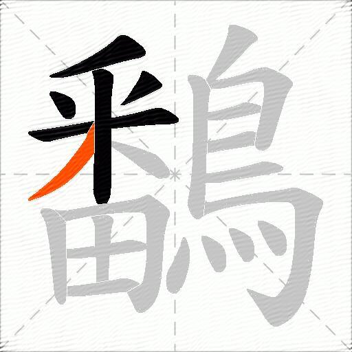鷭