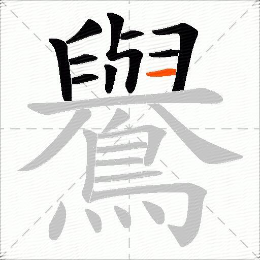 鸒