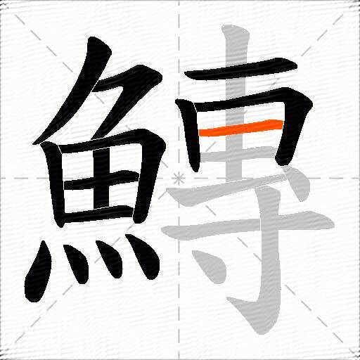 鱄