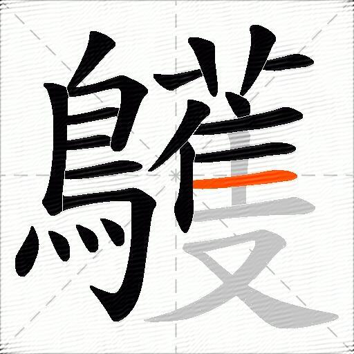 鸌