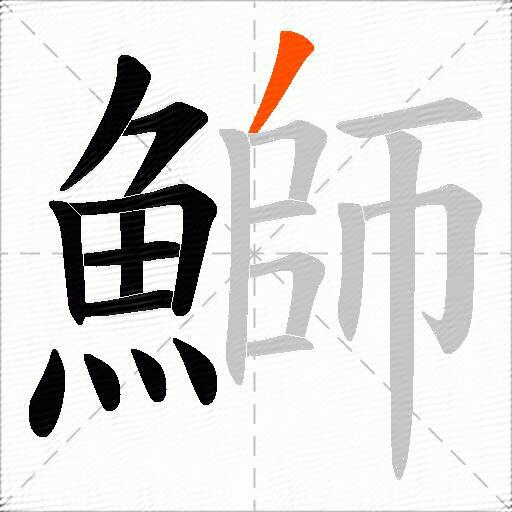 鰤