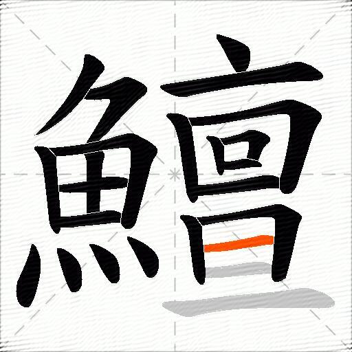 鱣