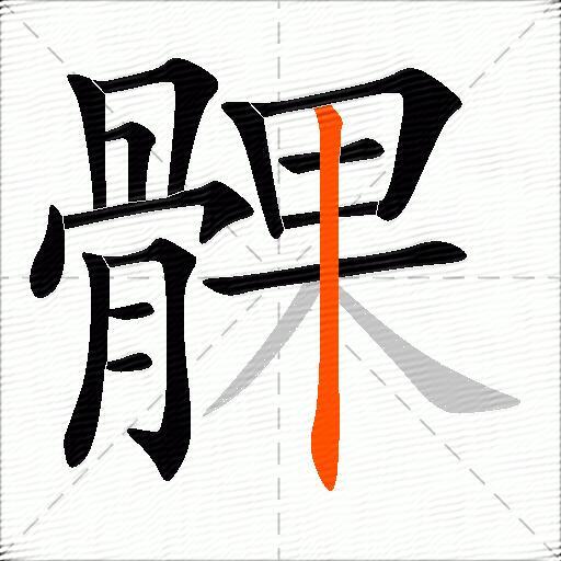 髁