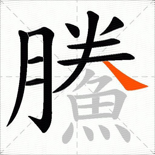 鰧