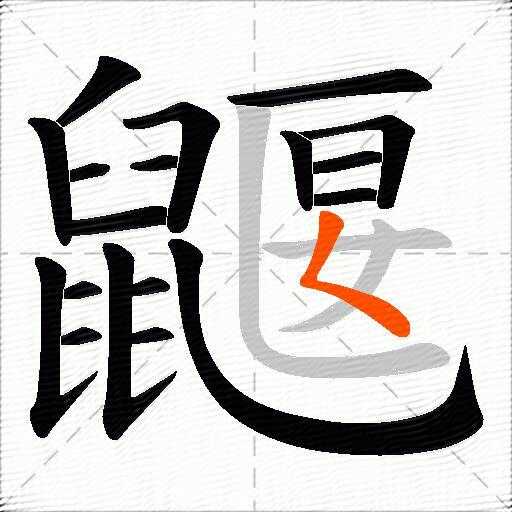 鼴